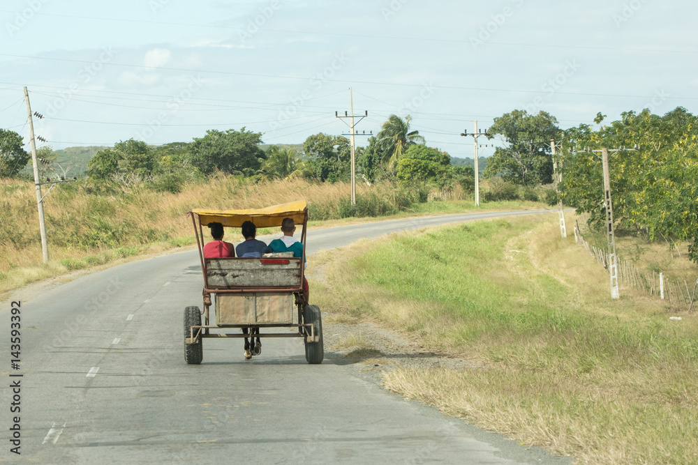 cuban  cart