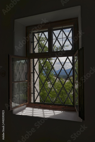 View from the ancient window of the castle park.