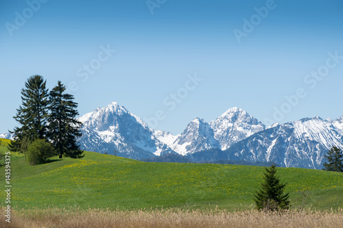 Schneebedeckte Allg  uer Berge im Fr  hling