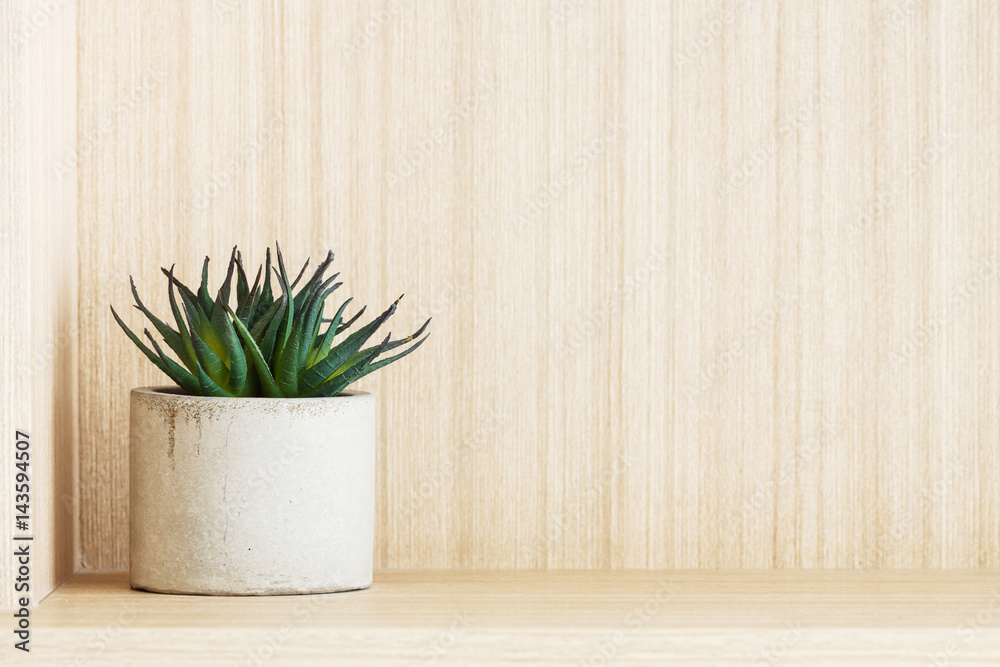Fototapeta premium Artificial succulent plant