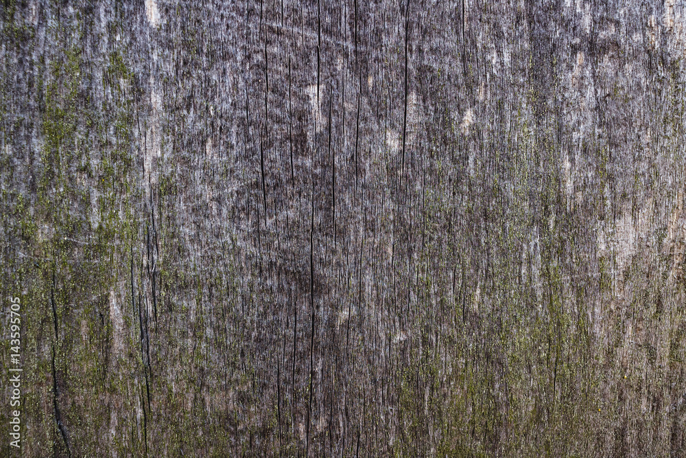 Obraz premium Old wooden board texture background, macro image.