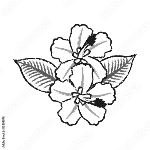 tropical flower icon image vector illustration design  © Jemastock