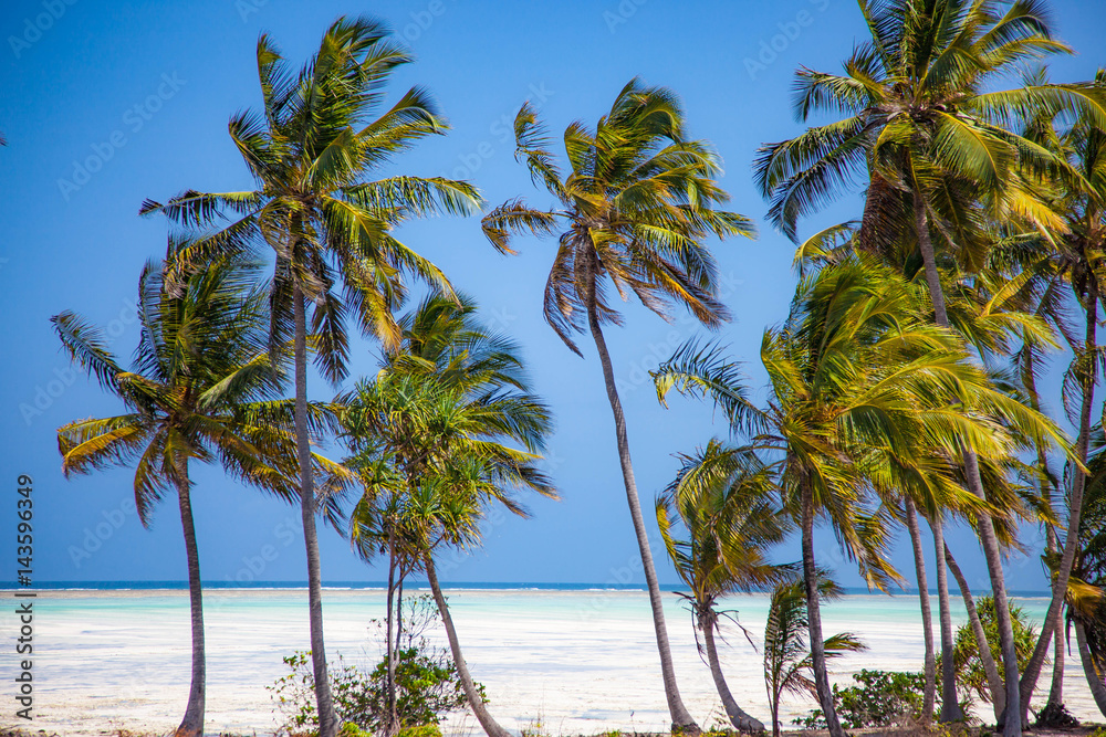 Fototapeta premium Tropical beach Zanzibar island