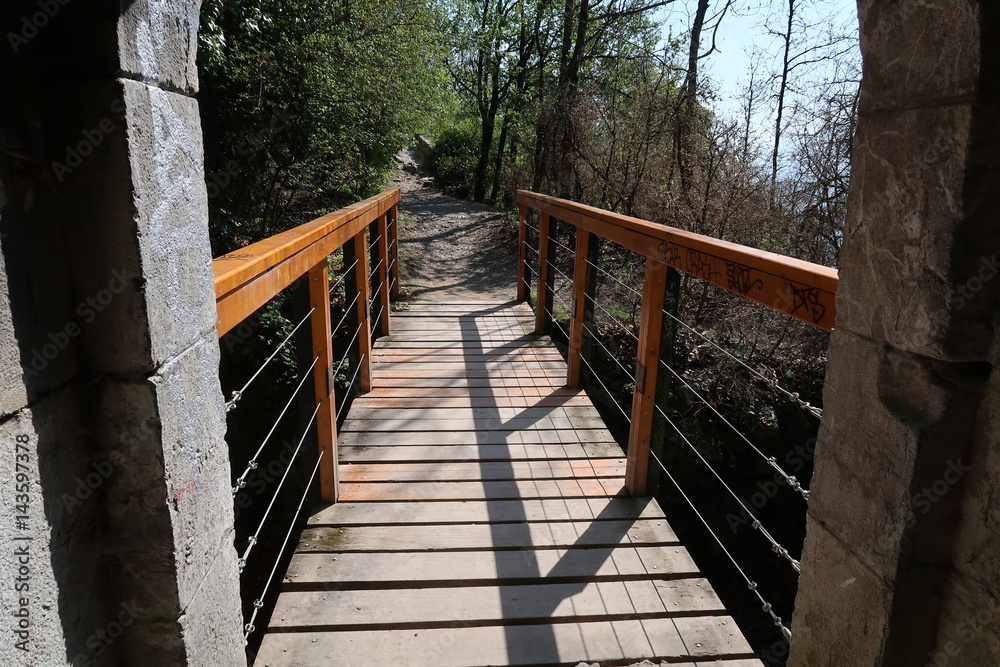 Obraz premium Petit pont à la Bastille