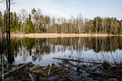 reflections of trees in the lake water
