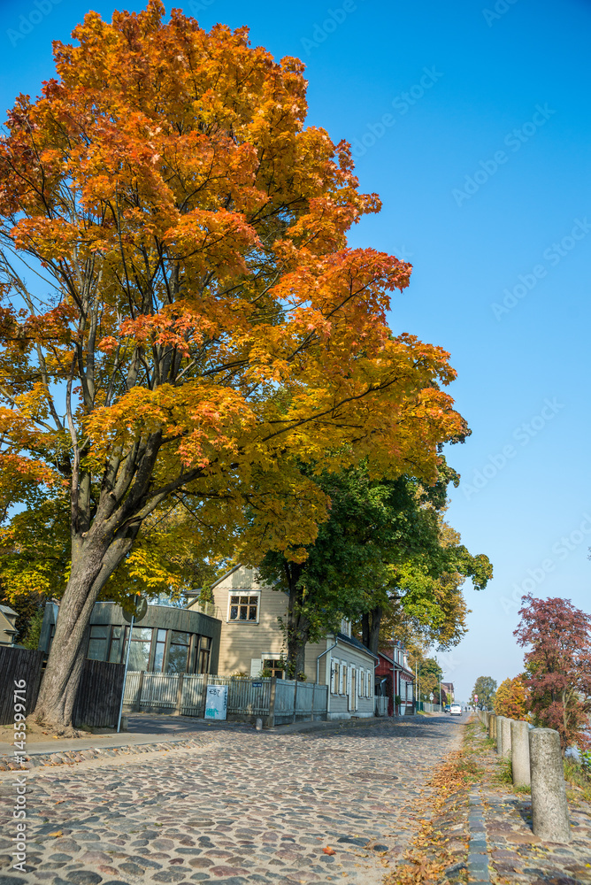 Obraz premium Beautiful Autumn Fall landscape image of wide countryside. Riga, Latvia