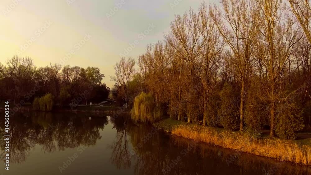 Lake with willow tree at sunset
Lake with willow tree at sunset