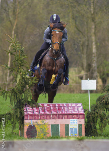 cross county horse jumping over bars by teenager girl 
