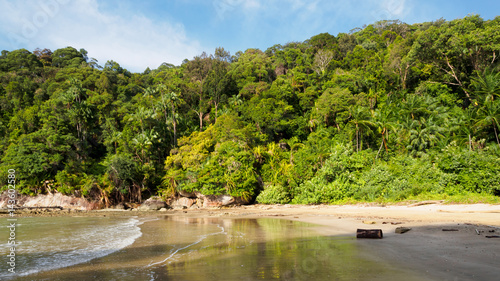 Jungle on Paku beach in Bako National Park, Borneo, Malaysia