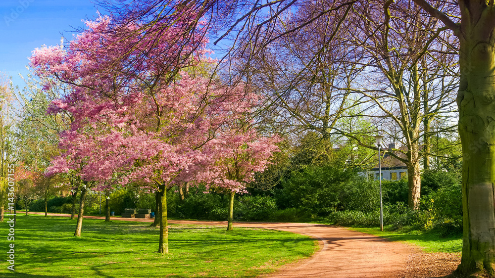 Naklejka premium beautiful Spring background