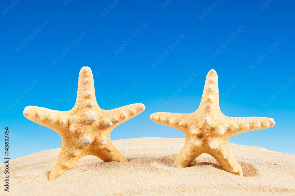Starfish on sandy beach, travel concept. Summer background. Summer concept Starfish on sandy beach, travel concept. Summer background. Summer concept