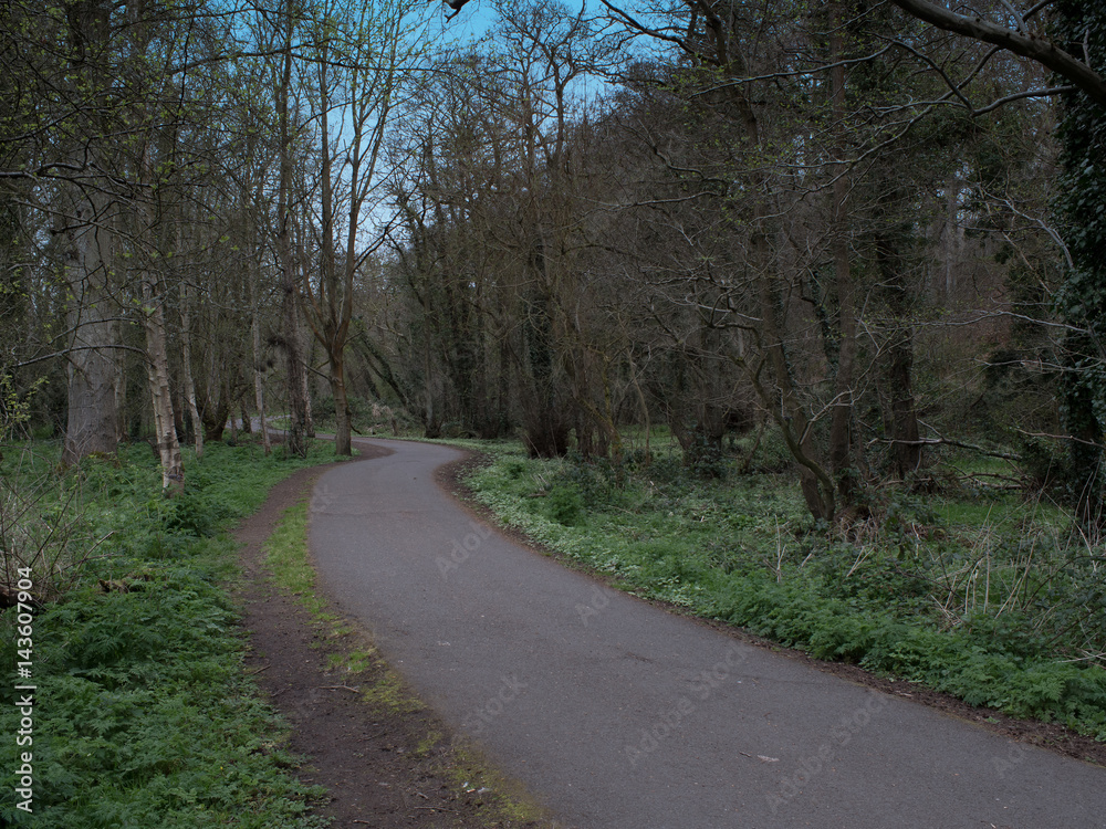 Spring country road in Northern Ireland