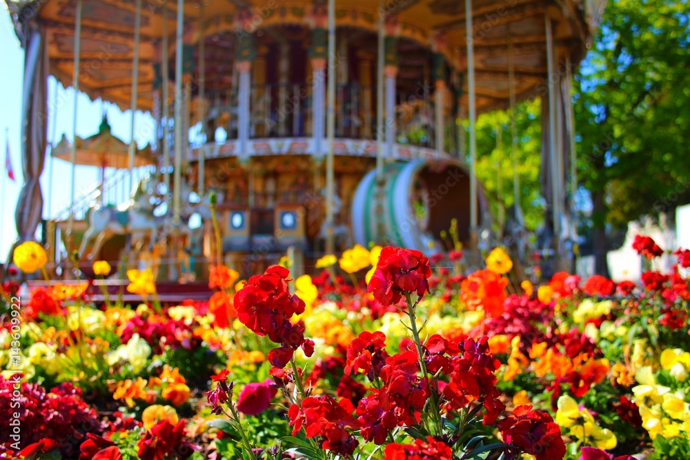 Flower with carousel in the background