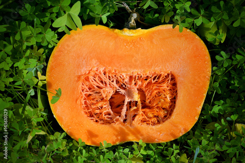 Cross section of a pumpkin isolated on nature background