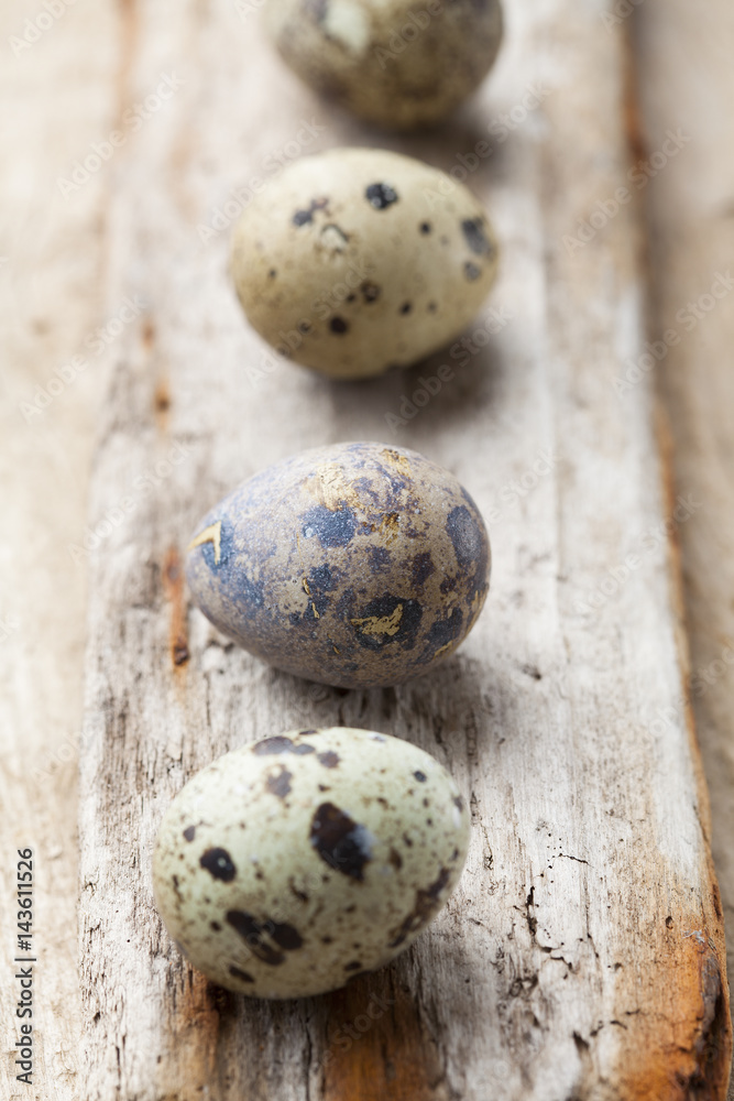 Obraz premium quail eggs
