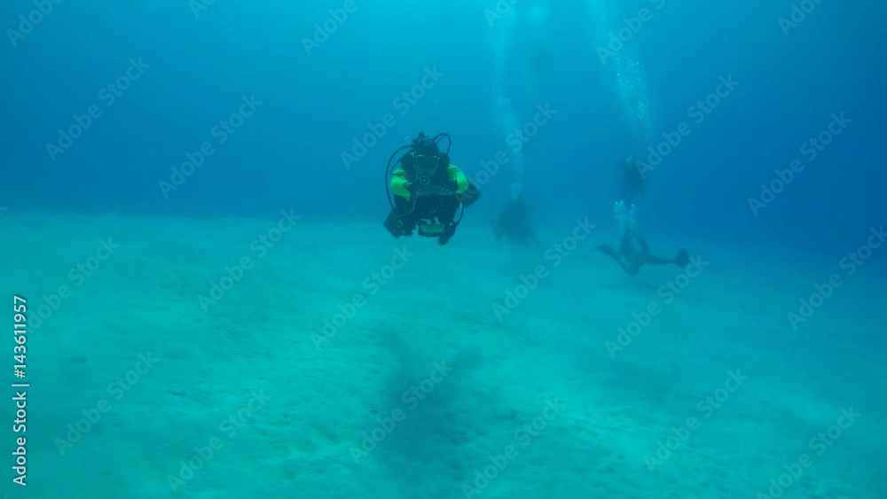 custom made wallpaper toronto digitalMale scuba diver floats in blue water over the sandy bottom, Indian Ocean, Maldives