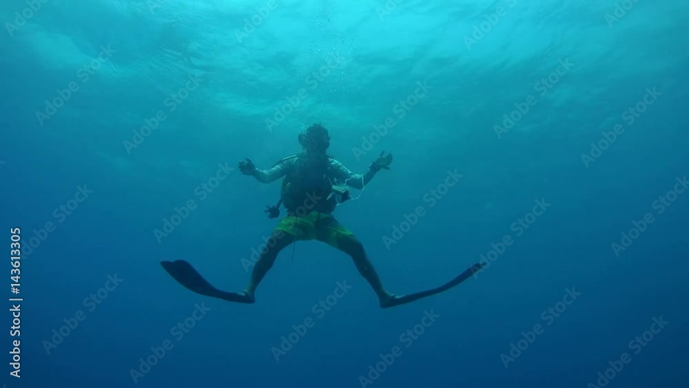 Scuba Diver hands out a ring of air bubbles on Remora (Echeneis naucrates) accompanies a group of scuba divers, Indian Ocean, Maldives
Scuba Diver hands out a ring of air bubbles on Remora (Echeneis naucrates) accompanies a group of scuba divers, Indian Ocean, Maldives