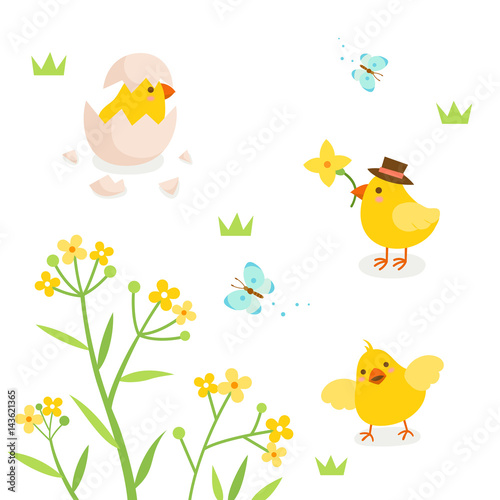 Cute chicks with Spring flower and Butterfly.
