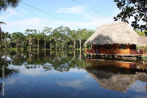 Amazonas photo