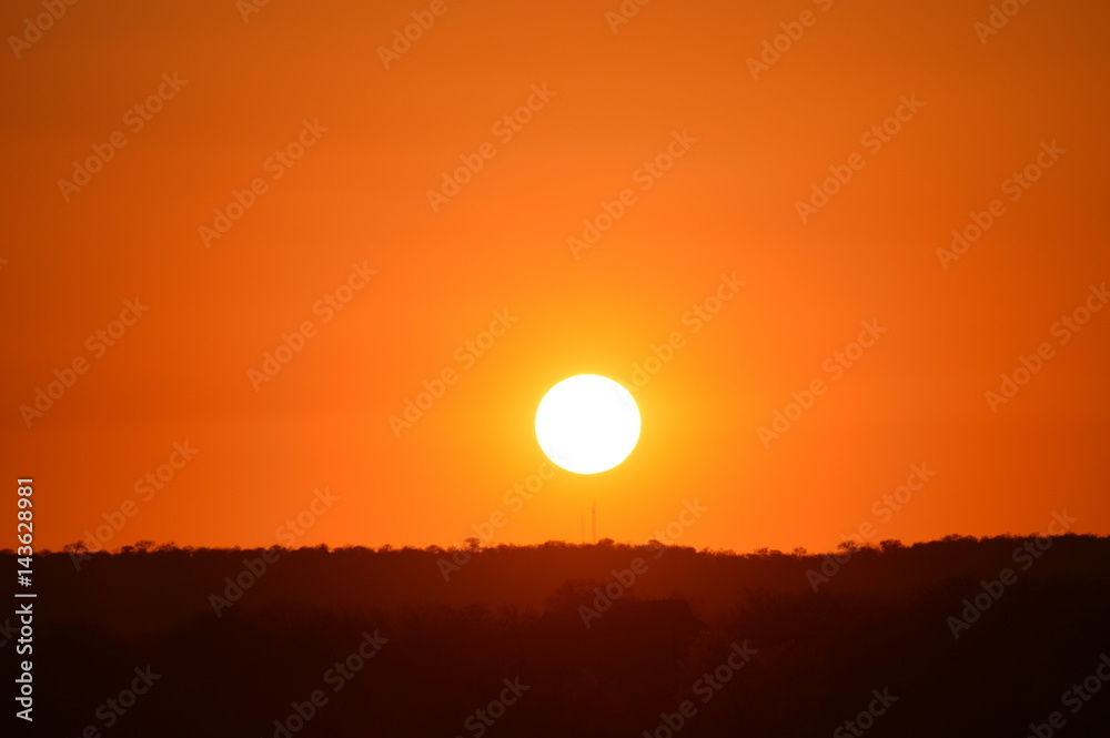 A African Sunset at Kruger Park South Africa