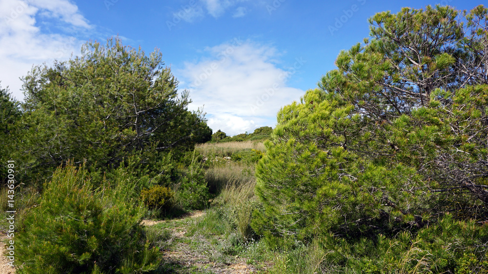 green algarve landscape