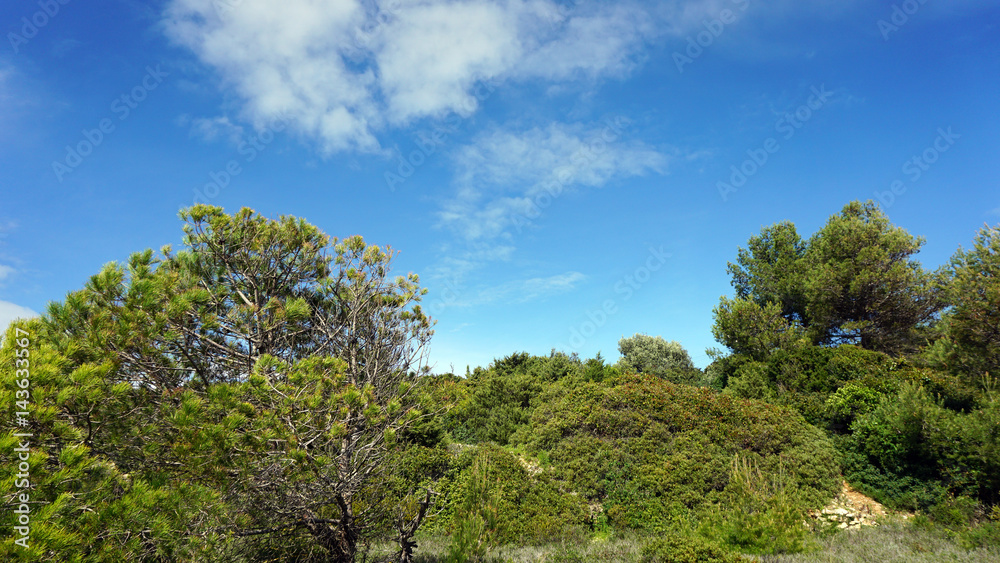 green algarve landscape