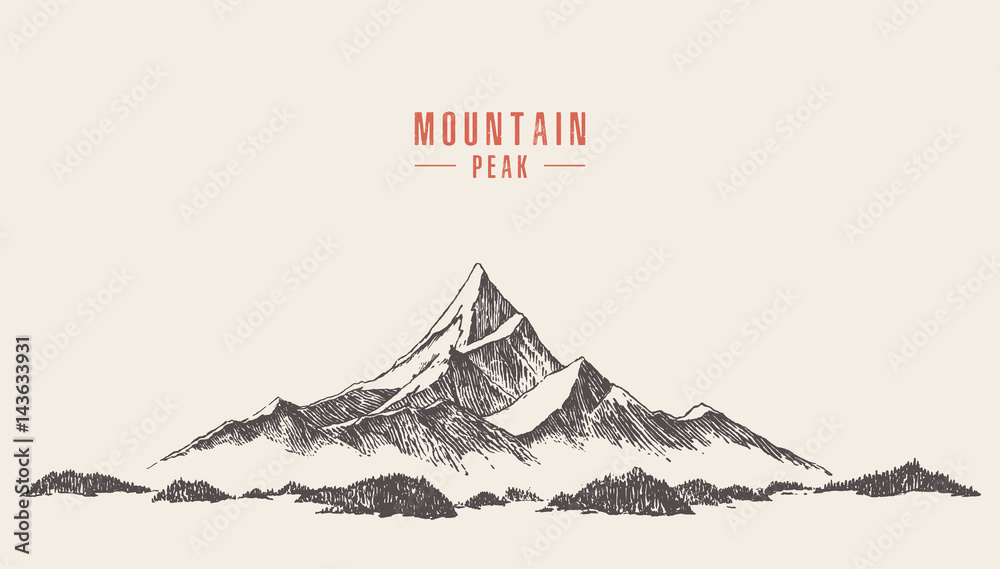 Vector mountain peak pine forest hand drawn - obrazy, fototapety, plakaty 