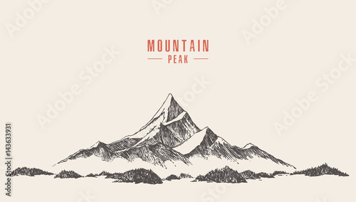 Vector mountain peak pine forest hand drawn