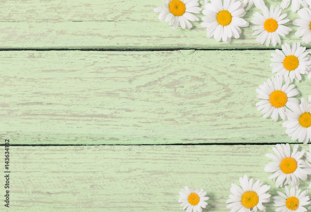 Obraz premium chamomile flower over green wooden background