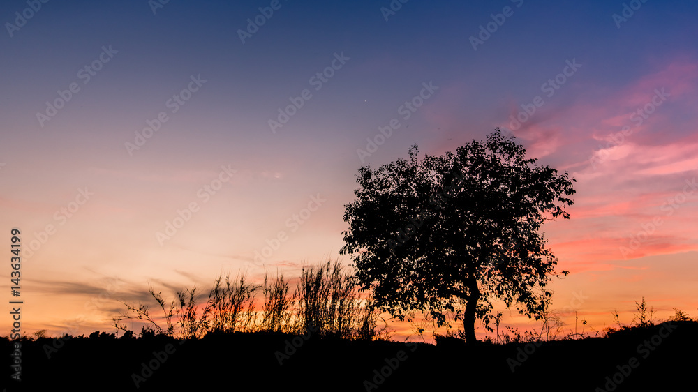 Silhouette Light tree Silhouette Light tree