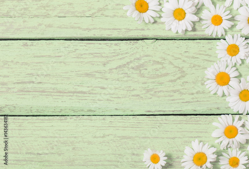 chamomile flower over green wooden background © Maya Kruchancova