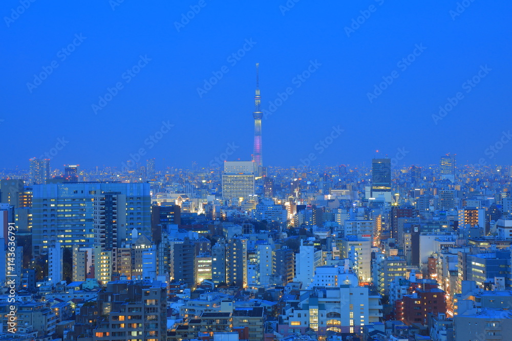 Naklejka premium Tokyo night view