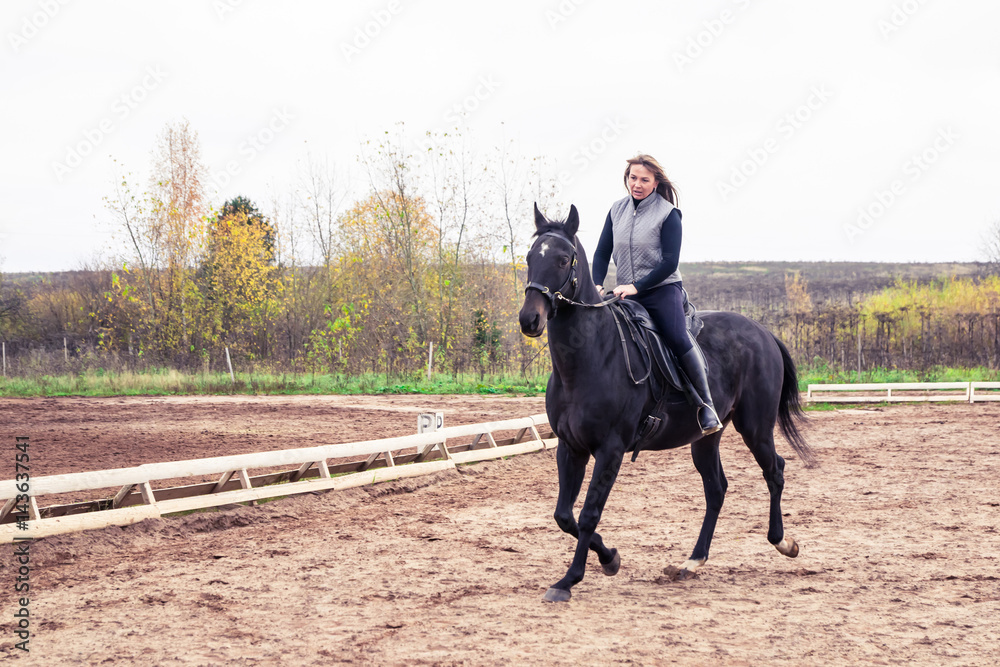 Girl and horse Girl and horse