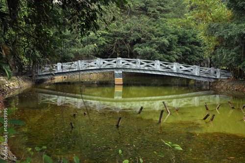 Lake with a small Japanese bridge