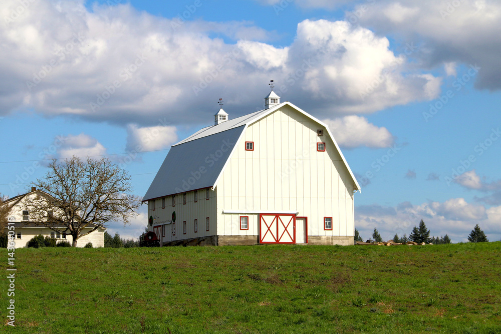 Large White Barn with Red Trim, Vivid Green Grass/Blue Sky, Bright White Clouds, Daytime - Center frame, front quarter viewpoint (HDR Image) Large White Barn with Red Trim, Vivid Green Grass/Blue Sky, Bright White Clouds, Daytime - Center frame, front quarter viewpoint (HDR Image)