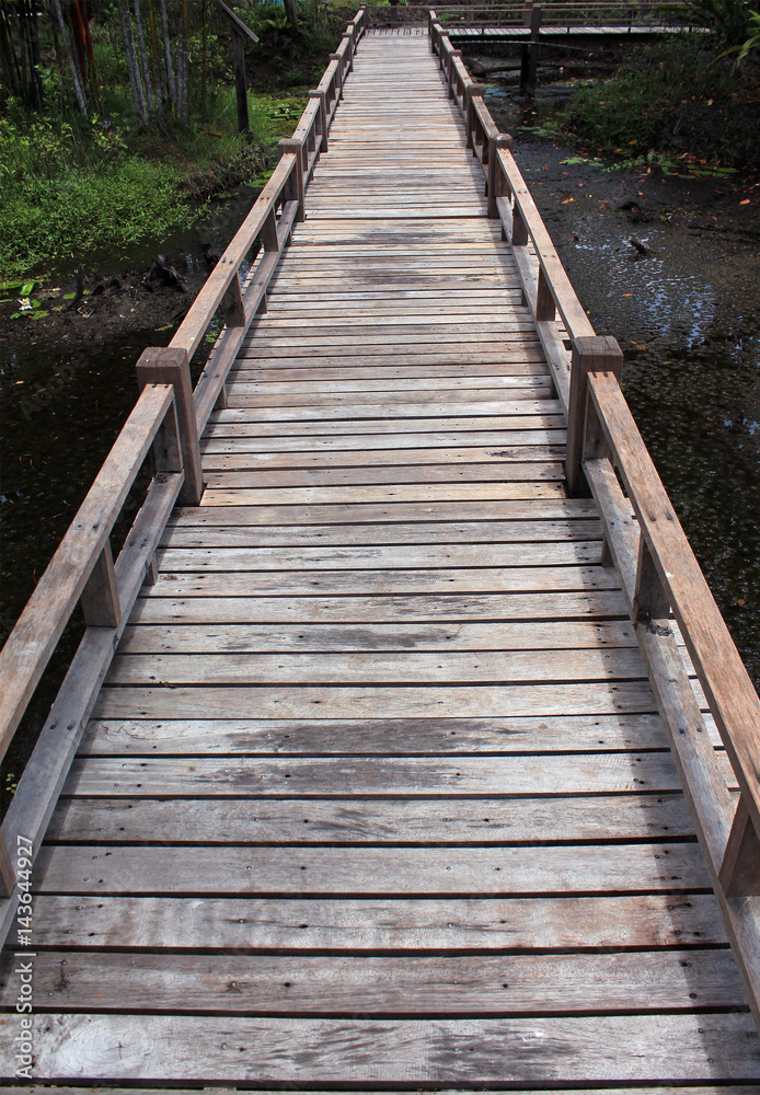 Wooden bridge in forest over the swamp, Thailand Wooden bridge in forest over the swamp, Thailand