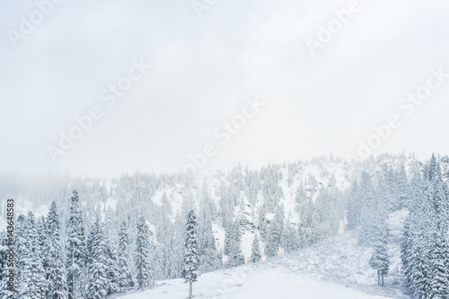 scenic view of small people walking in snow mountain.