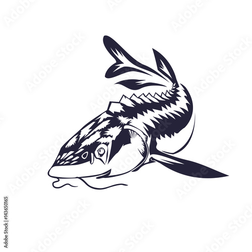 sturgeoneers fish