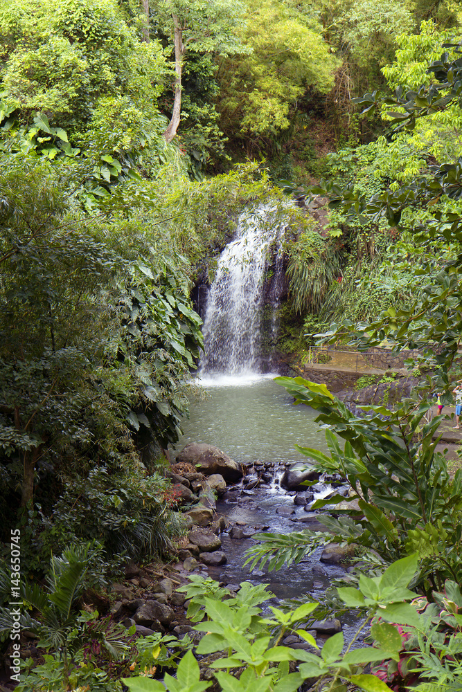 Naklejka premium Карибы. Водопад на острове Гренада.