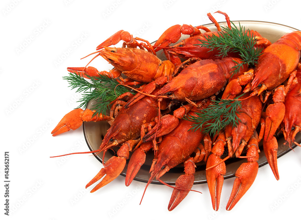 Boiled crayfish with dill on white background Boiled crayfish with dill on white background
