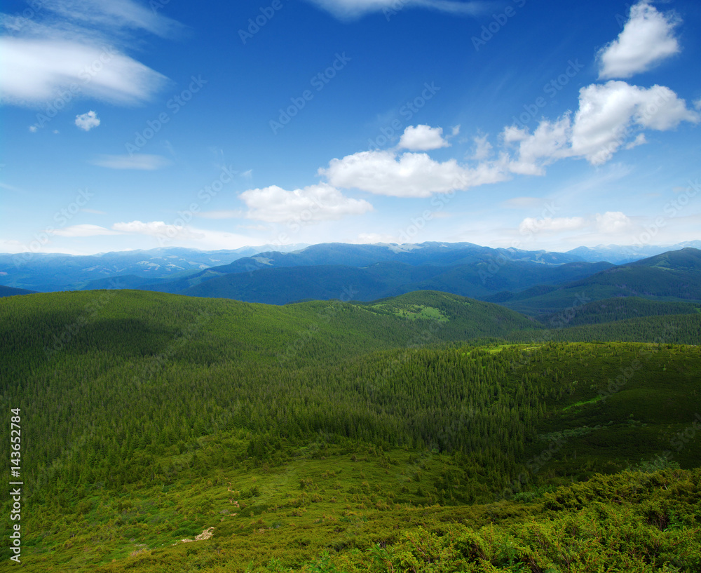 Mountain landscape in summer