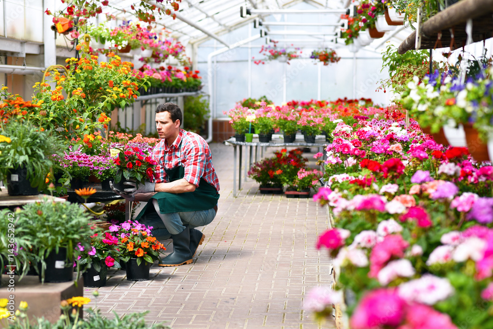 46+ Blumenhandel Gärtner, Von pflegeleichten pflanzen bis hin zu.