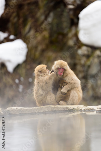 雪の中の温泉と猿の親子 © youreyesonly