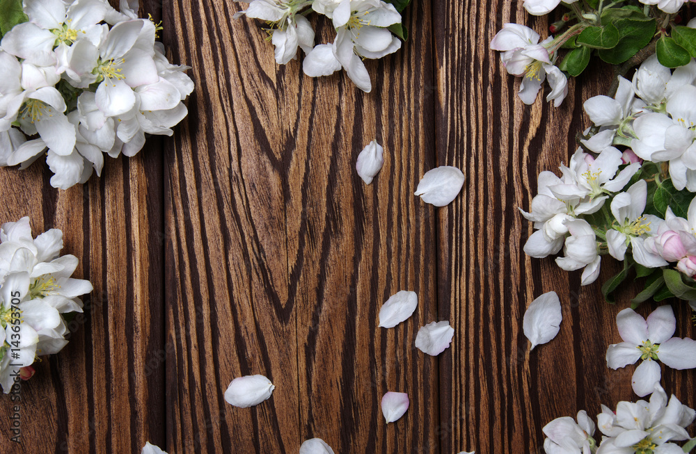 Spring flowers on wood Spring flowers on wood