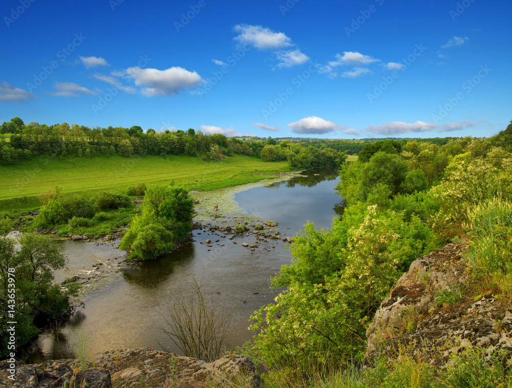  trees and a river