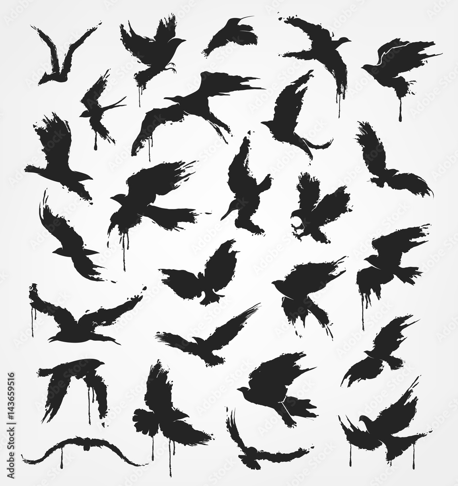 Obraz premium figures of flying birds in grunge style