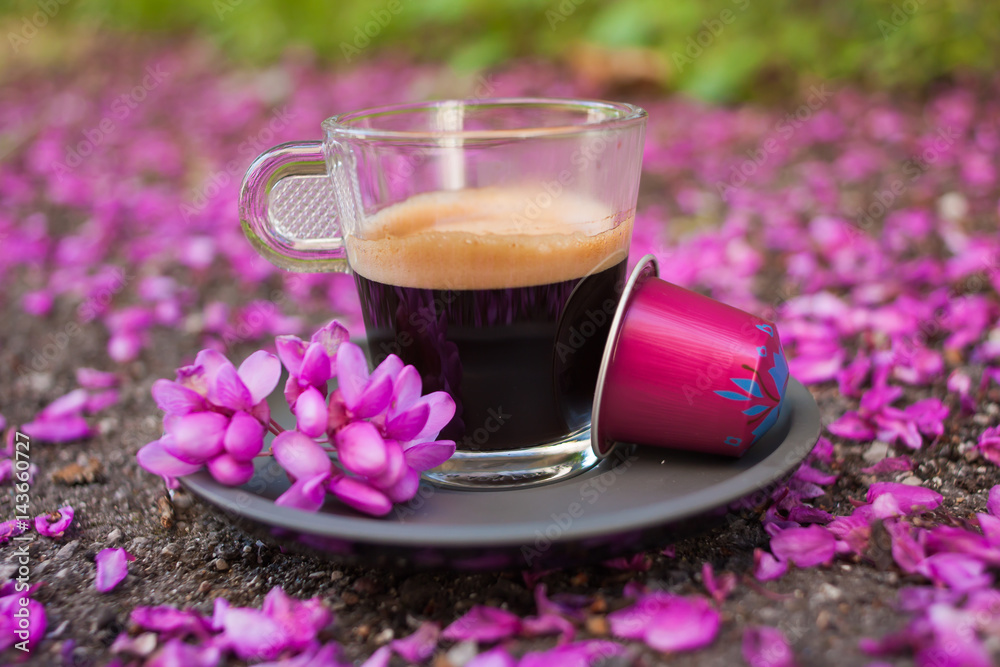 A cup of coffee on the ground covered with pink petals. Green and pink coffee capsules. A cup of coffee on the ground covered with pink petals. Green and pink coffee capsules.