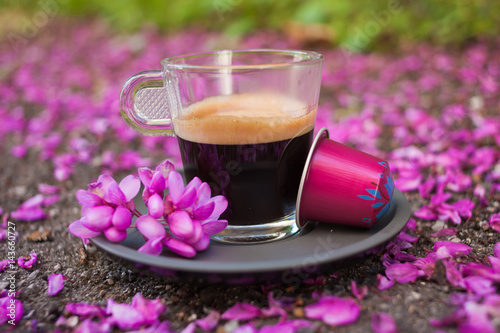 A cup of coffee on the ground covered with pink petals. Green and pink coffee capsules.