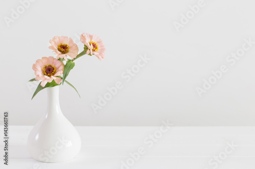Bouquet of zinnia flowers on white background