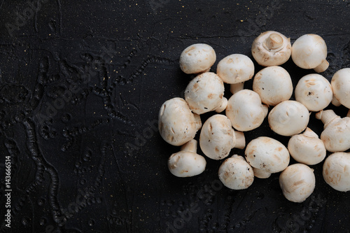 Mushrooms on black cement. Mushrooms on a concrete background